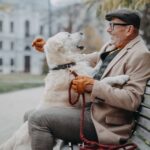 What Are the Best Pets for Seniors? 12 Wonderful Companions for Every Lifestyle
