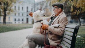 What Are the Best Pets for Seniors? 12 Wonderful Companions for Every Lifestyle