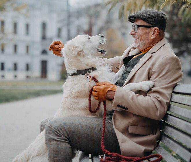 What Are the Best Pets for Seniors? 12 Wonderful Companions for Every Lifestyle