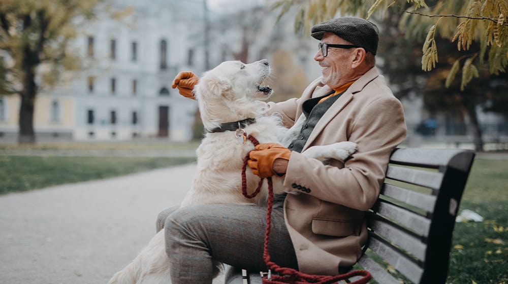 Best Pets for Seniors