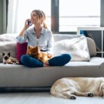 What Are the Best Pets for Apartments – 12 Great Options for Small Spaces