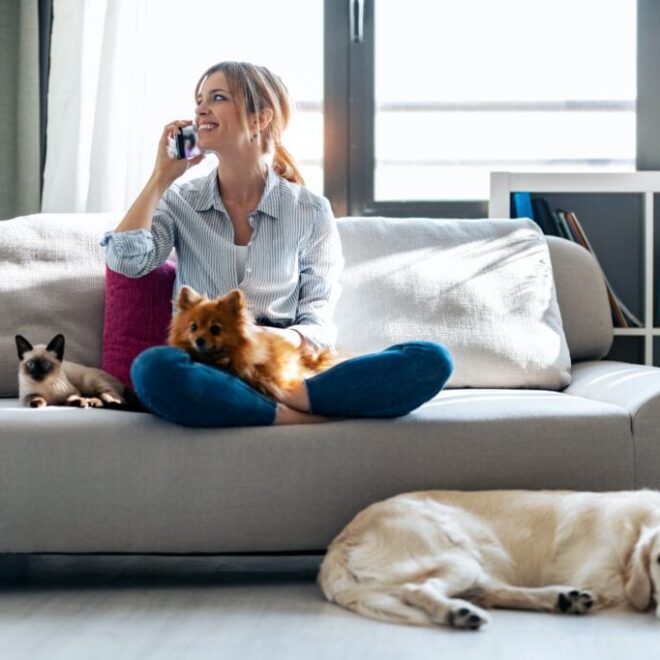 What Are the Best Pets for Apartments – 12 Great Options for Small Spaces