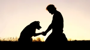 What to Say When Someone Loses a Pet: Heartfelt Words That Truly Help