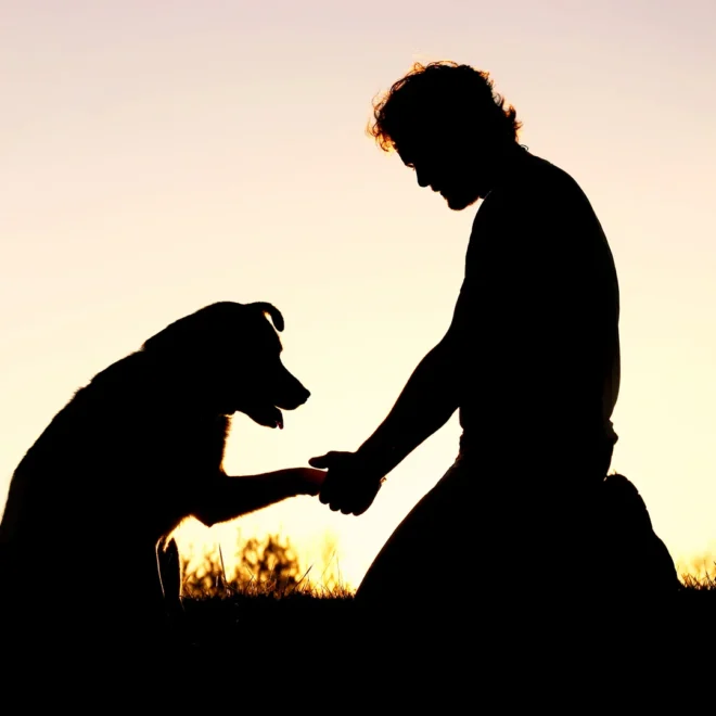 What to Say When Someone Loses a Pet: Heartfelt Words That Truly Help