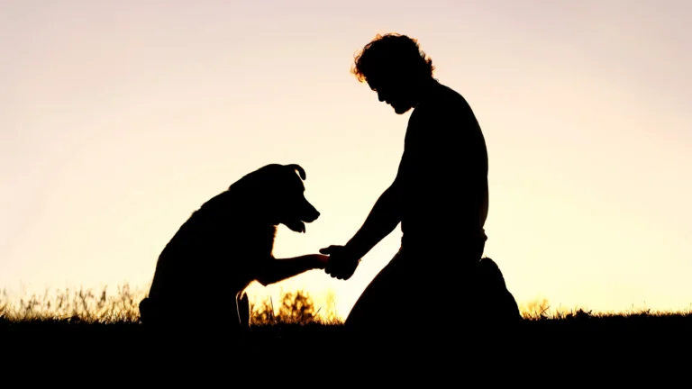 What to Say When Someone Loses a Pet: Heartfelt Words That Truly Help