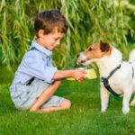 What Are Good Beginner Pets for a 16-Year-Old? 10 Great Choices for First-Time Pet Owners