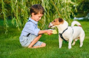 What Are Good Beginner Pets for a 16-Year-Old? 10 Great Choices for First-Time Pet Owners