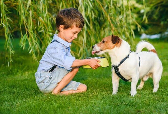What Are Good Beginner Pets for a 16-Year-Old? 10 Great Choices for First-Time Pet Owners