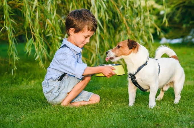 What Are Good Beginner Pets for a 16-Year-Old? 10 Great Choices for First-Time Pet Owners