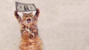How Can I Monetize My Pets? 12 Realistic Ways to Make Money With Your Pet